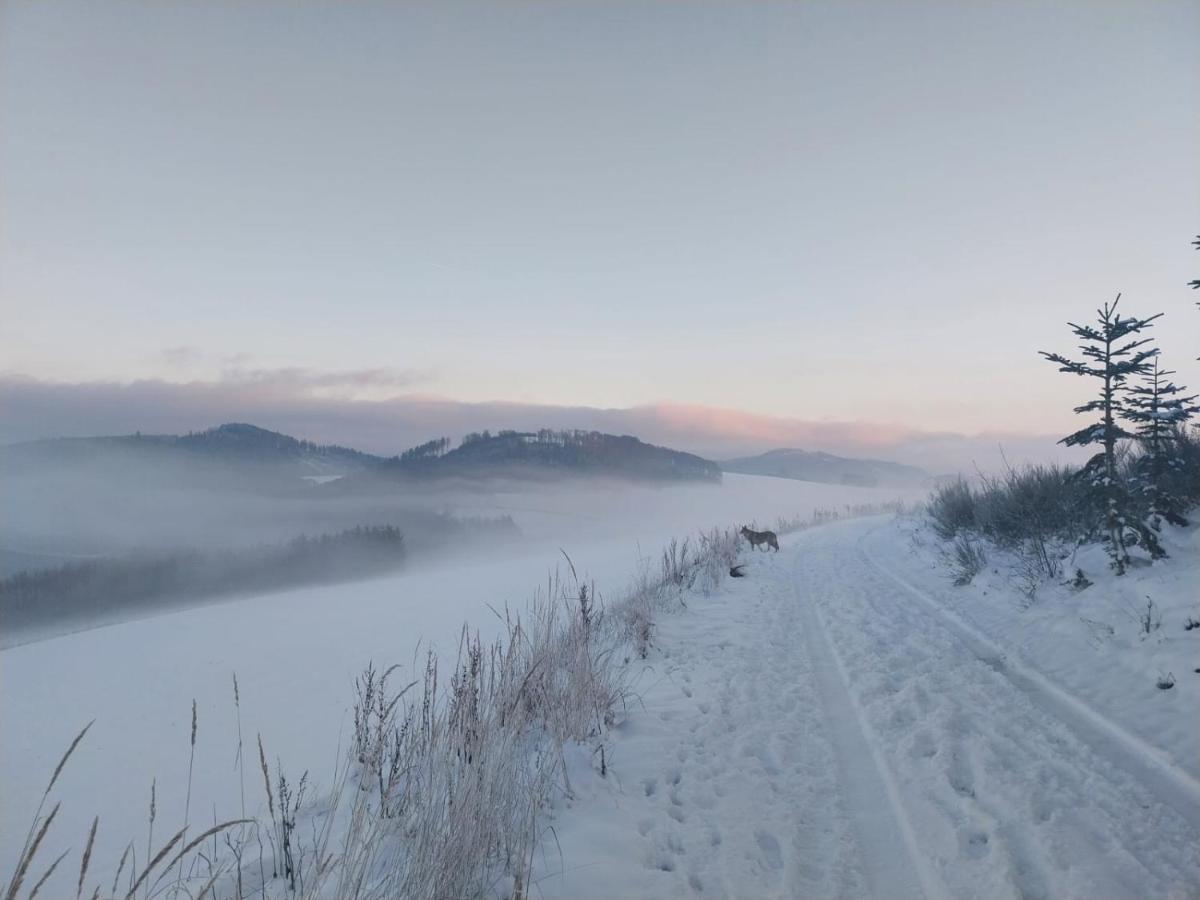 Ferienhaus Lena Im Sauerland Direkt Am Hennesee Meschede Luaran gambar