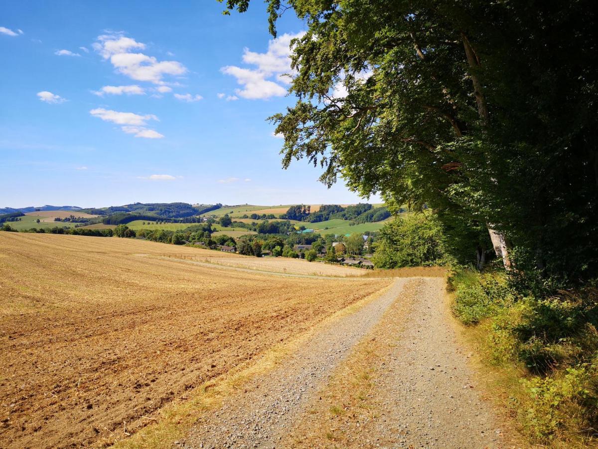 Ferienhaus Lena Im Sauerland Direkt Am Hennesee Meschede Luaran gambar